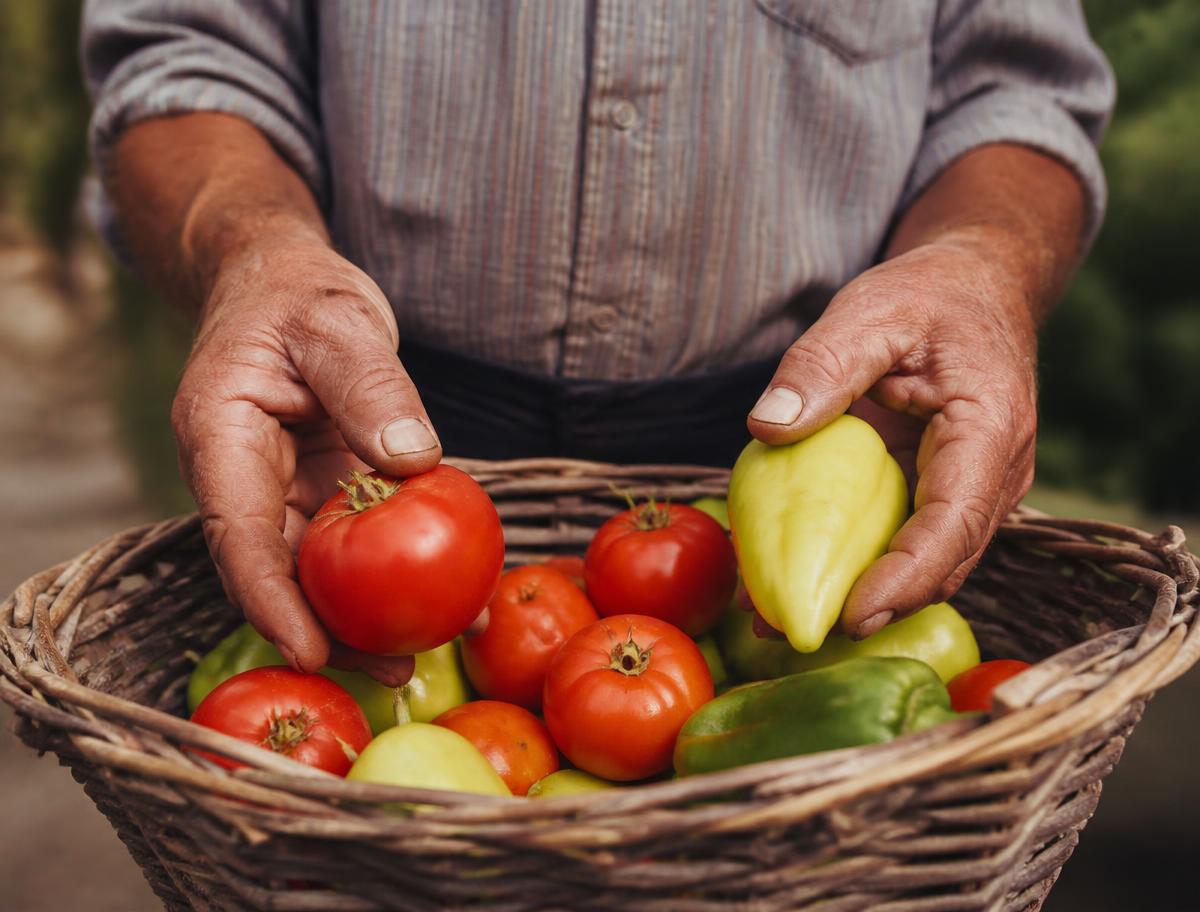 A grower holding freshly harvested tomatoes and peppers in a woven basket